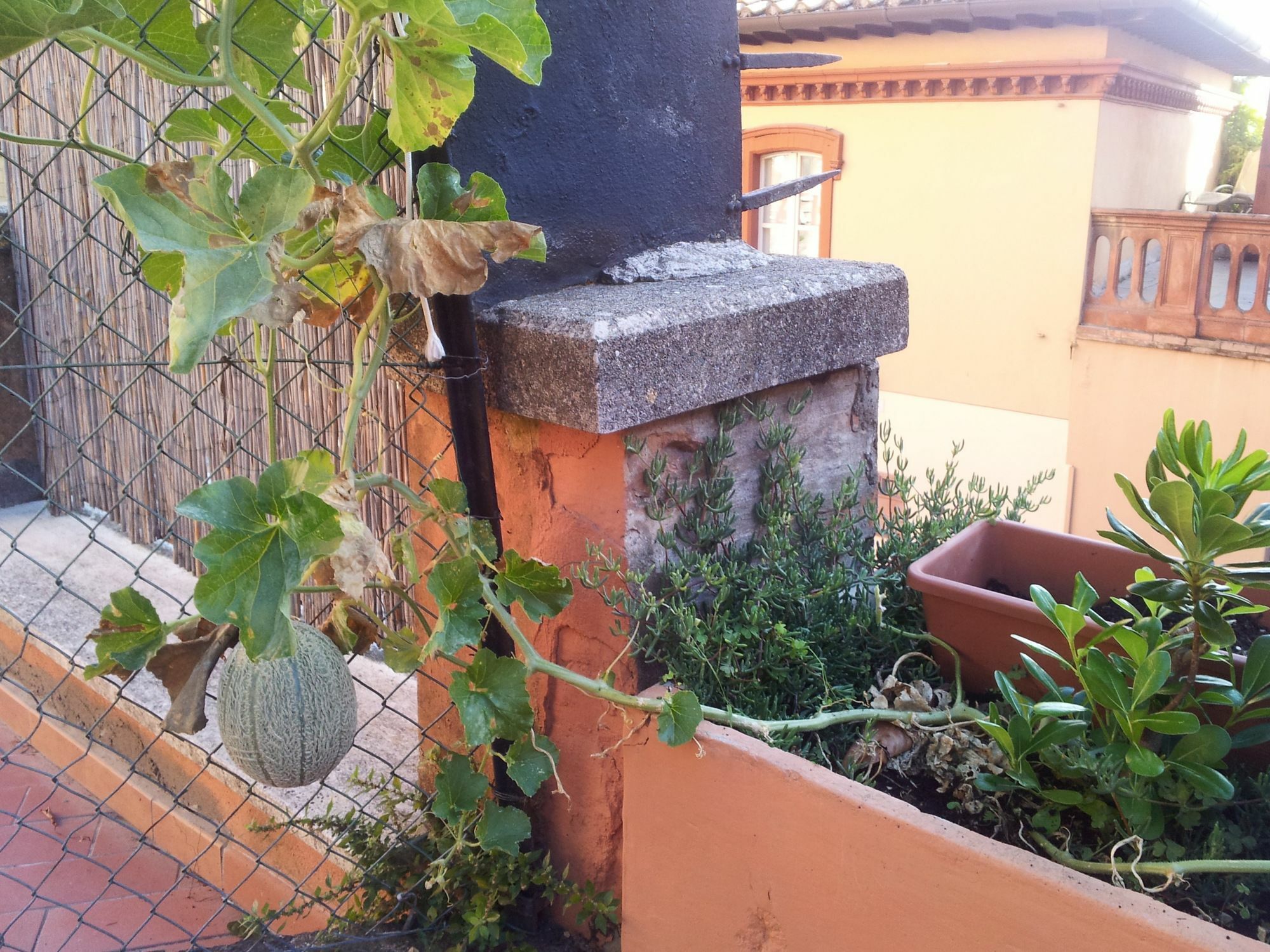Al Giardino Di Alice Bed & Breakfast Perugia Luaran gambar